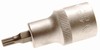 Bit-Einsatz 12,5 (1/2), Innenvielzahn, 53 mm lang, M5