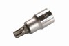 Bit-Einsatz 12,5 (1/2), Innenvielzahn, 53 mm lang, M10
